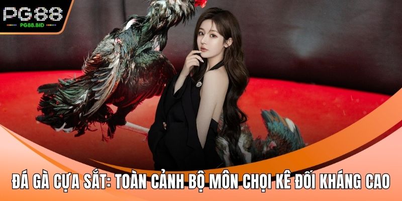 Đá gà cựa sắt