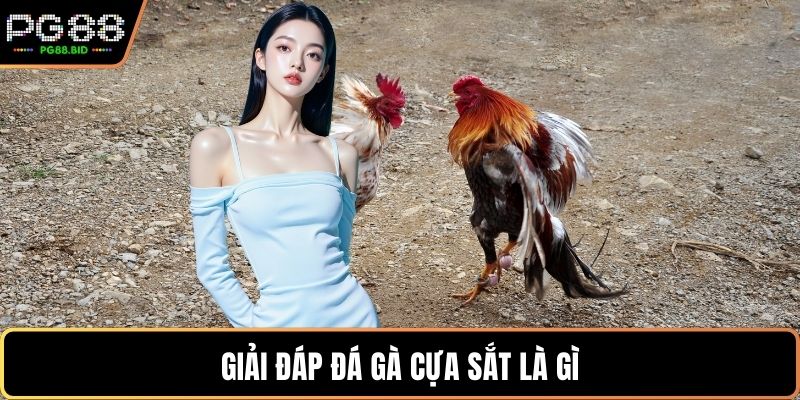 Giải đáp Đá gà cựa sắt là gì