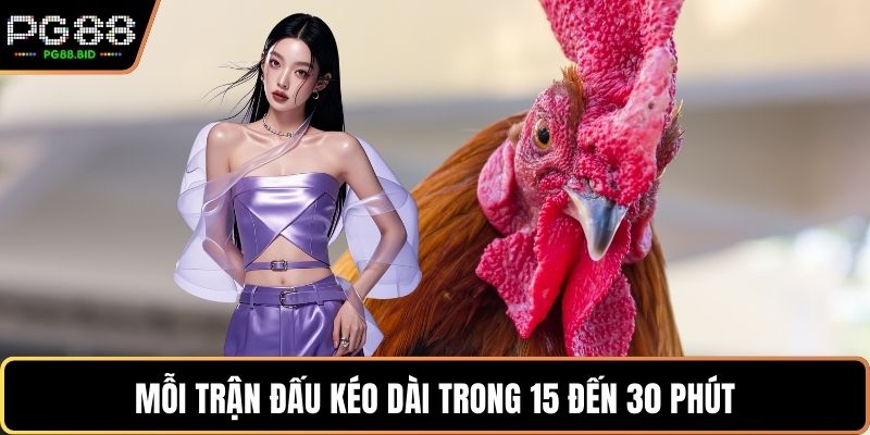 Mỗi trận đấu kéo dài trong 15 đến 30 phút