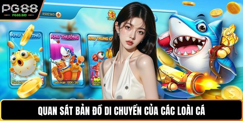 Quan sát bản đồ di chuyển của các loài cá