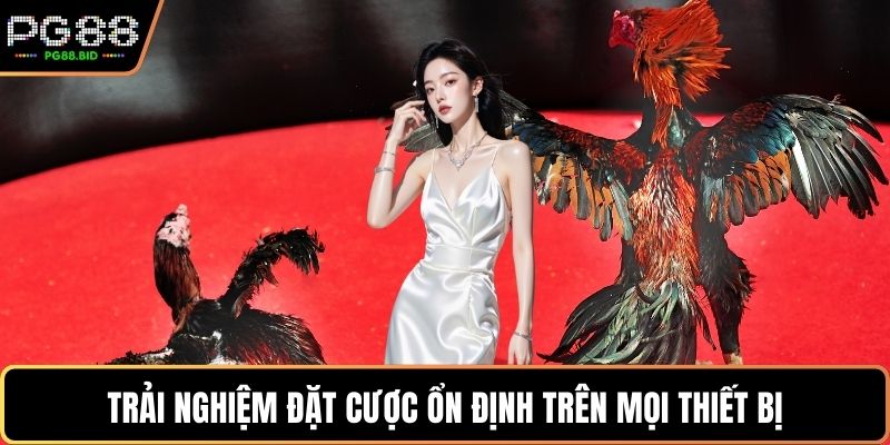 Trải nghiệm đặt cược ổn định trên mọi thiết bị